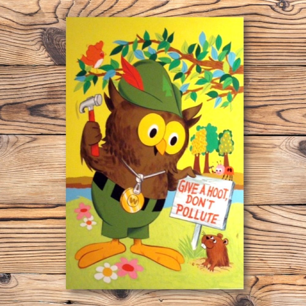Woodsy Owl Give A Hoot Don't Pollute Retro Nostalgic Refrigerator Locker Magnet